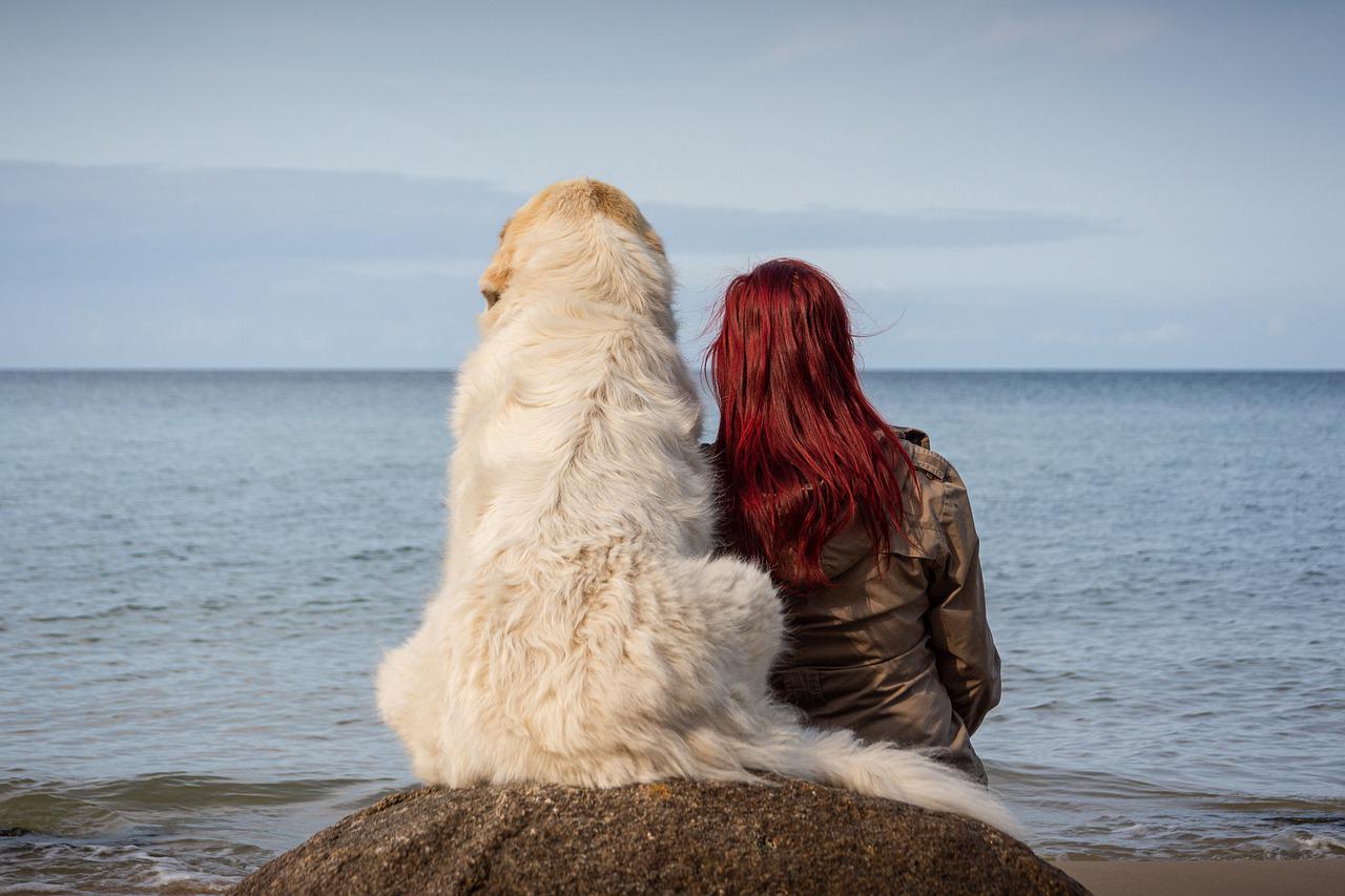 Per il cane superare il lutto non è sempre facile